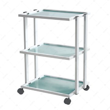 Ucenic Cosmetica Silver Fox 1041